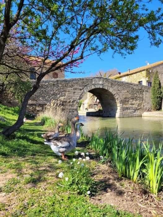 Au Canalet - Le Somail Exteriér fotografie